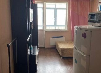 Сдается в аренду квартира студия, 24 м2, Екатеринбург, Рощинская улица, 21к3, метро Ботаническая