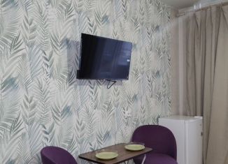 Квартира на продажу студия, 17 м2, Бердск, Гранитная улица, 10