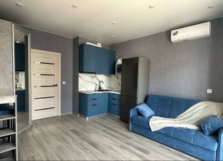 Сдам в аренду квартиру студию, 23 м2, Кудрово, Европейский проспект, 22