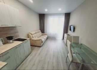 Сдаю в аренду квартиру студию, 25 м2, Архангельская область, улица Гагарина, 44