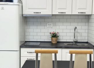 Сдам в аренду квартиру студию, 22 м2, Санкт-Петербург, Планерная улица, 93, ЖК Нью Тайм