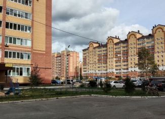 Сдаю в аренду однокомнатную квартиру, 40 м2, Йошкар-Ола, улица Петрова, 27Б, микрорайон Молодёжный