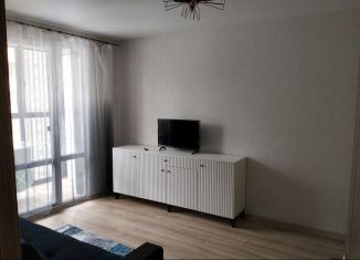 Сдам 1-ком. квартиру, 34.9 м2, Воронеж, улица Пескова, 3, Центральный район