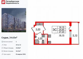 Продам квартиру студию, 24.7 м2, Санкт-Петербург, муниципальный округ Коломяги