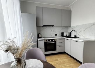 Сдача в аренду 2-комнатной квартиры, 60 м2, Санкт-Петербург, улица Маршала Казакова, 58, Красносельский район