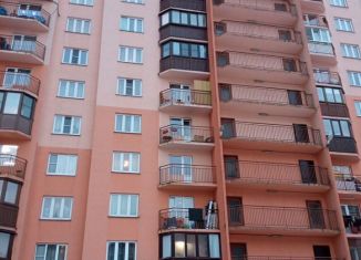 Продаю квартиру студию, 28 м2, Кудрово, Ленинградская улица, 5
