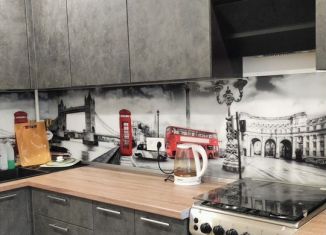 3-комнатная квартира в аренду, 57 м2, Санкт-Петербург, улица Верности, 30, Калининский район