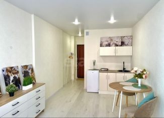 Продажа квартиры студии, 21 м2, Мурино, улица Шоссе в Лаврики, 95