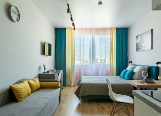 Продам квартиру студию, 25.8 м2, Санкт-Петербург, дорога на Турухтанные Острова, 5к1, метро Ленинский проспект