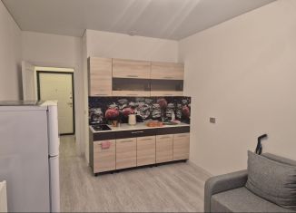 Сдаю квартиру студию, 26 м2, посёлок Шушары, Колпинское шоссе, 127