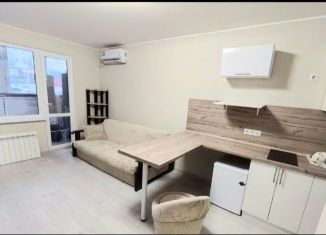 Сдам в аренду квартиру студию, 28 м2, Новороссийск, улица Бориса Пупко, 8