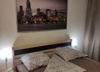 Сдаю в аренду 1-комнатную квартиру, 37.6 м2, Санкт-Петербург, улица Маршала Казакова, 78к1, Красносельский район