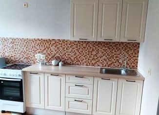 Сдаю однокомнатную квартиру, 44 м2, Екатеринбург, Союзная улица, 2, метро Геологическая