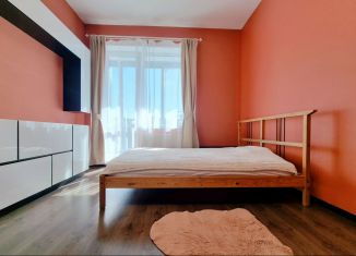 Сдам в аренду квартиру студию, 24.6 м2, Мурино, бульвар Менделеева, 11к4