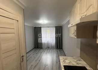 Квартира на продажу студия, 17 м2, Новосибирск, метро Площадь Гарина-Михайловского, Советская улица, 49А