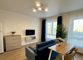 Квартира в аренду студия, 25.4 м2, деревня Новое Девяткино, Главная улица, 14, ЖК Заречный Парк