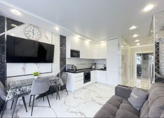 Сдача в аренду двухкомнатной квартиры, 65 м2, Сочи, переулок Трунова, 6к1, микрорайон Завокзальный