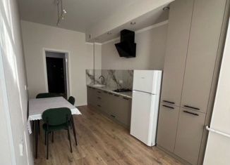 Сдам 1-ком. квартиру, 50 м2, Ессентуки, Очаровательная улица, 5