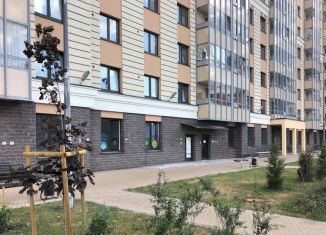 Продажа помещения свободного назначения, 75.3 м2, Санкт-Петербург, Архивная улица, 11к3, муниципальный округ Невский