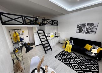 Продается квартира студия, 26 м2, Санкт-Петербург, Чкаловский проспект, 16, Петроградский район