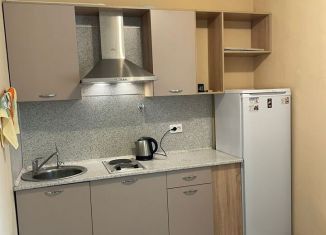 Продажа однокомнатной квартиры, 28.1 м2, Санкт-Петербург, улица Вадима Шефнера, 14к1, муниципальный округ Морской