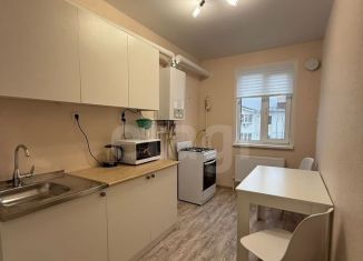 Сдам в аренду однокомнатную квартиру, 26.3 м2, деревня Куюки, улица 21-й Квартал, 1