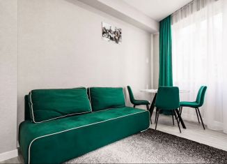 Продам квартиру студию, 30 м2, Сочи, Виноградная улица, 17Б, микрорайон Новый Сочи