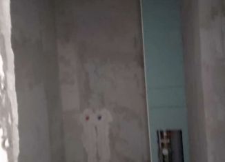 Продажа квартиры студии, 24.5 м2, посёлок Шушары, Новгородский проспект, 2к1, ЖК Знание