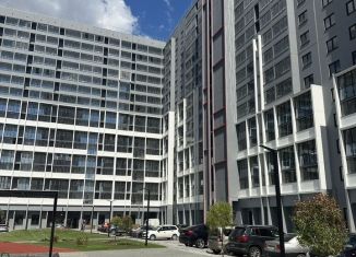 Продам 2-комнатную квартиру, 44.2 м2, Челябинская область, набережная Героя России С.А. Кислова, 23