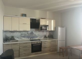 Аренда 1-комнатной квартиры, 46.5 м2, Свердловская область, улица Татищева, 140