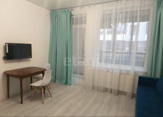 Продается квартира студия, 25.5 м2, Санкт-Петербург, проспект Ветеранов, 204, муниципальный округ Сосновая Поляна