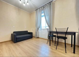 Продам квартиру студию, 27.6 м2, Санкт-Петербург, проспект Героев, 27к1, муниципальный округ Южно-Приморский
