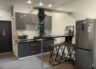 Квартира на продажу студия, 25 м2, Мурино, проспект Авиаторов Балтики, 1к1, ЖК Мой Город