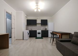 Сдаю в аренду 2-ком. квартиру, 42 м2, Ростов-на-Дону, проспект Солженицына, 13/2с1, ЖК Пятый Элемент