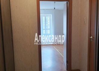 Продажа квартиры студии, 25.3 м2, посёлок Парголово, улица Фёдора Абрамова, 16к1