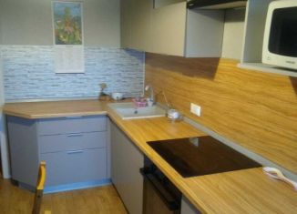 Продам 3-комнатную квартиру, 60.6 м2, Екатеринбург, Боровая улица, 29, Кировский район