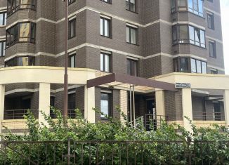 Сдаю квартиру студию, 26 м2, посёлок Парголово, улица Михаила Дудина, 10, ЖК Бумеранг
