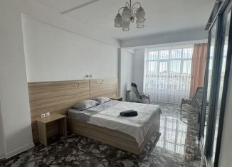 Сдаю 2-ком. квартиру, 60 м2, Сочи, Альпийская улица, 23, микрорайон Завокзальный