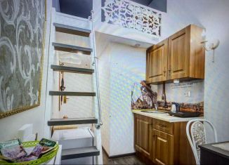 Продаю квартиру студию, 22 м2, Санкт-Петербург, улица Правды, 4, Центральный район