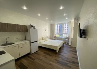 Квартира на продажу студия, 26 м2, Анапа, Парковая улица, 61, ЖК Привилегия