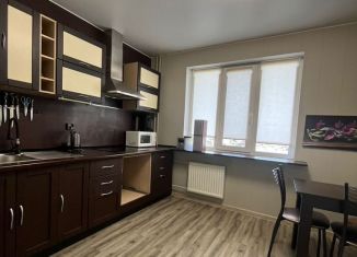Сдам однокомнатную квартиру, 38 м2, Санкт-Петербург, проспект Наставников, 21, метро Ладожская