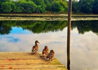 Продажа дома, 78.9 м2, Архангельск, улица Леваневского, 12