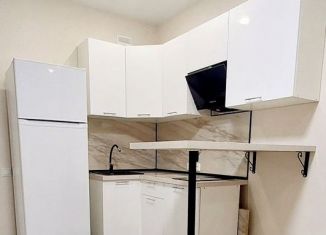 Продается квартира студия, 27 м2, Ростов-на-Дону, 2-я улица Володарского, 172/88