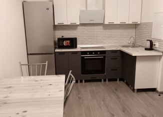 Сдаю однокомнатную квартиру, 41 м2, Ростов-на-Дону, улица Ерёменко, 110/2с1, ЖК Пятый Элемент