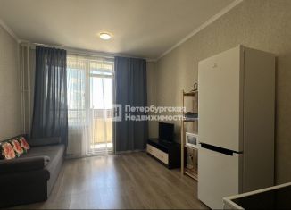 Продам квартиру студию, 24.6 м2, Санкт-Петербург, Кушелевская дорога, 1к2, ЖК Кирилл и Дарья