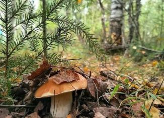 Продам земельный участок, 6 сот., Ленинградская область