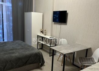Продам квартиру студию, 22.9 м2, Санкт-Петербург, Пулковское шоссе, 14, Пулковское шоссе