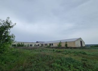 Продаю производство, 2300 м2, Оренбургская область, улица Климовка, 53