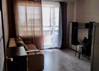 Сдаю квартиру студию, 25 м2, Новосибирск, Красный проспект, 307