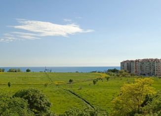 1-комнатная квартира в аренду, 40 м2, Геленджик, улица Леселидзе, 10